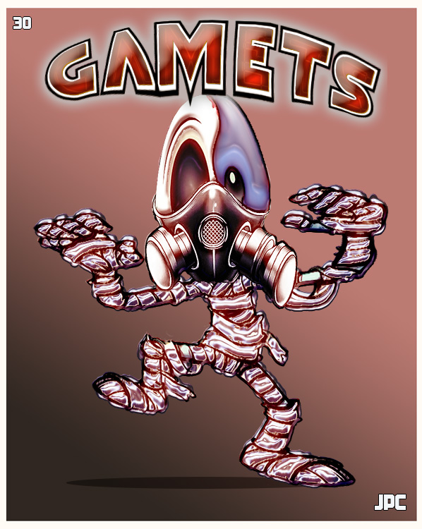 the gamets